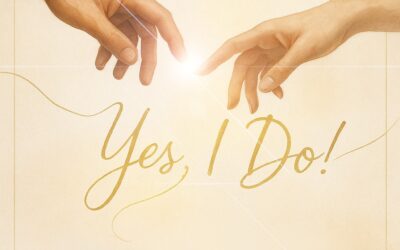 24 Novembre – 9° cena del Network – 10° Compleanno